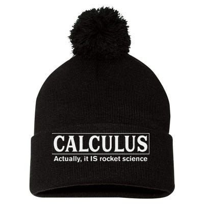 Calculus Actually It Is Rocket Science Math Student Teacher Pom Pom 12in Knit Beanie