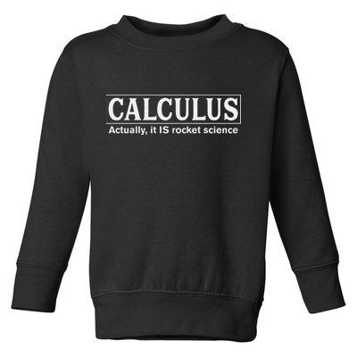 Calculus Actually It Is Rocket Science Math Student Teacher Toddler Sweatshirt