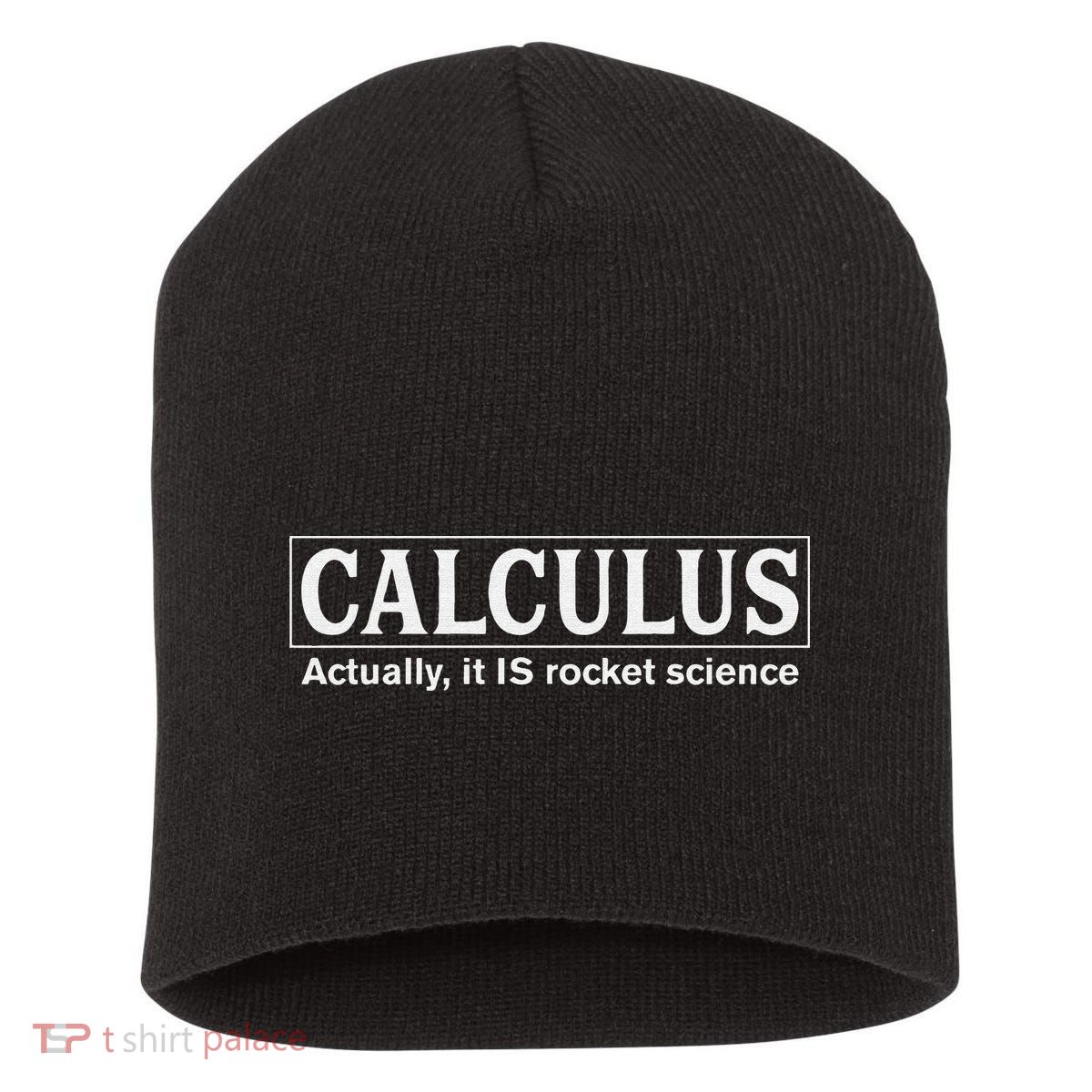 Calculus Actually It Is Rocket Science Math Student Teacher Short Acrylic Beanie