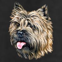 Cairn Terrier 7 Panel Mesh Trucker Snapback Hat