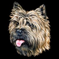 Cairn Terrier Sustainable Bucket Hat