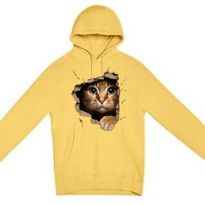 Cat Art Kitten Torn Cloth Cute Cat Owner Funny Cat Premium Pullover Hoodie