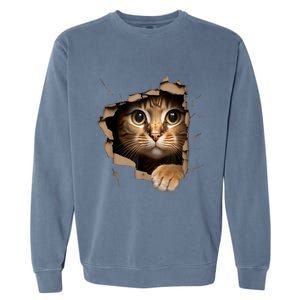 Cat Art Kitten Torn Cloth Cute Cat Owner Funny Cat Garment-Dyed Sweatshirt