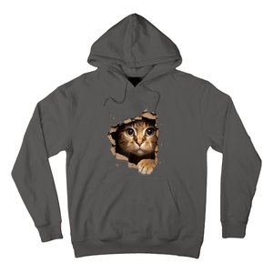 Cat Art Kitten Torn Cloth Cute Cat Owner Funny Cat Hoodie