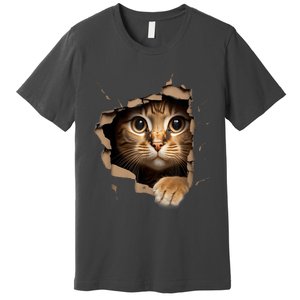 Cat Art Kitten Torn Cloth Cute Cat Owner Funny Cat Premium T-Shirt