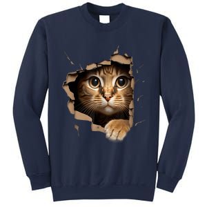 Cat Art Kitten Torn Cloth Cute Cat Owner Funny Cat Sweatshirt