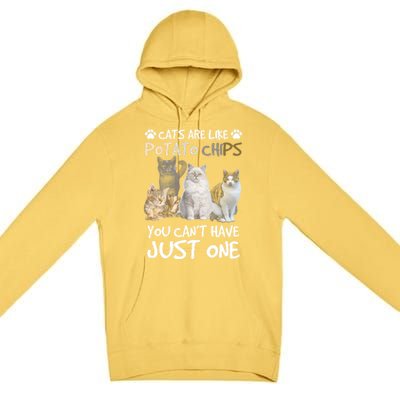 Cats Are Like Potato Chips You Can Not Have Just One Funny Cool Gift Premium Pullover Hoodie