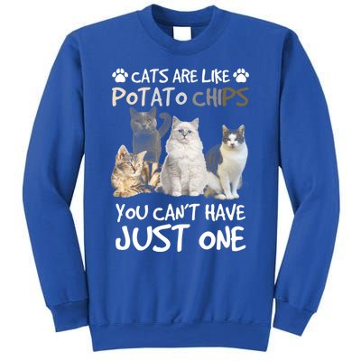 Cats Are Like Potato Chips You Can Not Have Just One Funny Cool Gift Sweatshirt