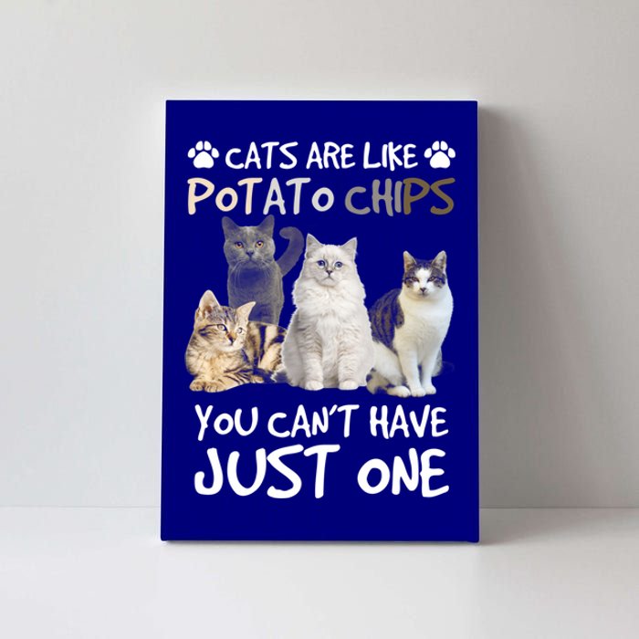 Cats Are Like Potato Chips You Can Not Have Just One Funny Cool Gift Canvas