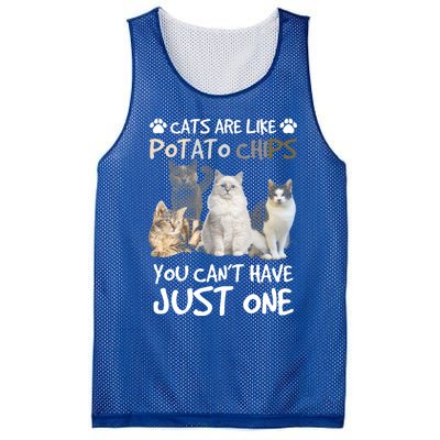 Cats Are Like Potato Chips You Can Not Have Just One Funny Cool Gift Mesh Reversible Basketball Jersey Tank