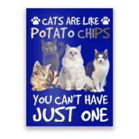 Cats Are Like Potato Chips You Can Not Have Just One Funny Cool Gift Poster