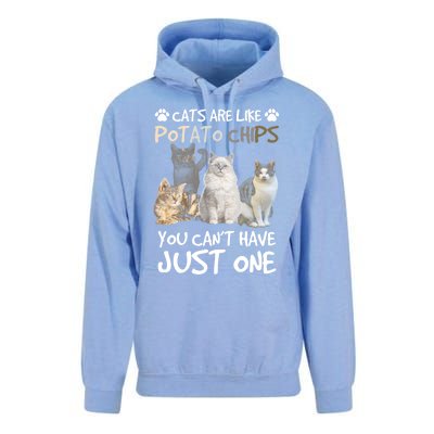 Cats Are Like Potato Chips You Can Not Have Just One Funny Cool Gift Unisex Surf Hoodie