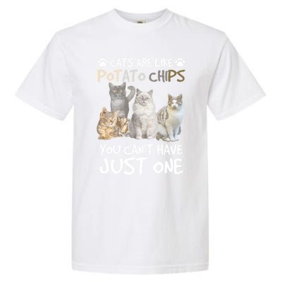 Cats Are Like Potato Chips You Can Not Have Just One Funny Cool Gift Garment-Dyed Heavyweight T-Shirt