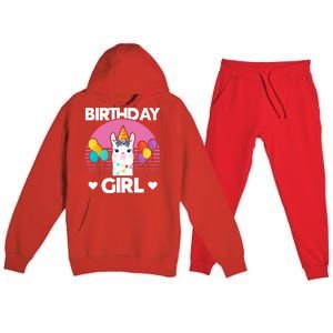 Cute Alpaca Llama Birthday Party Premium Hooded Sweatsuit Set