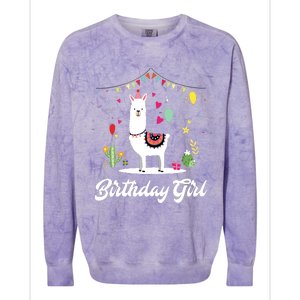 Cute Alpaca Llama Cactus Girl Birthday Party Animal Gift Colorblast Crewneck Sweatshirt