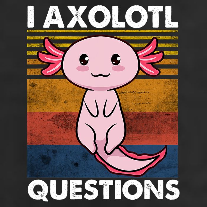 Cute Axolotl Lover Funny I Axolotl Questions Premium Pullover Hoodie