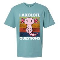 Cute Axolotl Lover Funny I Axolotl Questions Sueded Cloud Jersey T-Shirt
