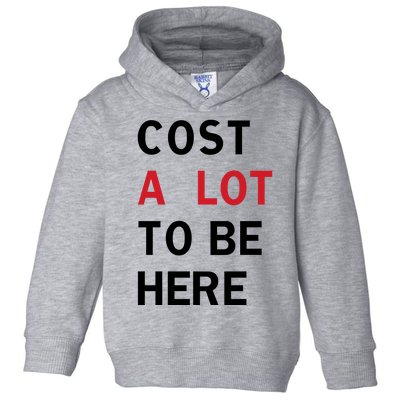 Cost A Lot To Be Here Toddler Hoodie