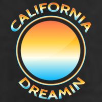 California Dreamin Adult Drive Performance Visor