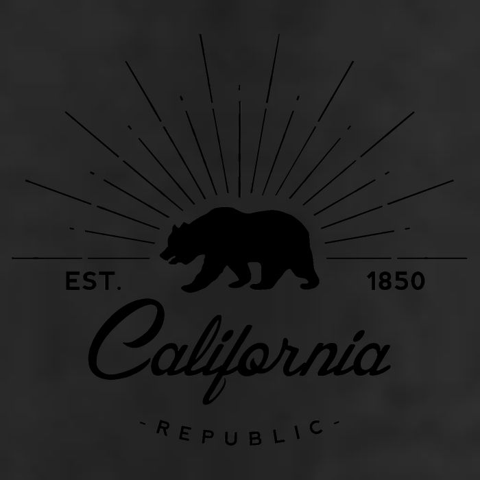 California Republic EST  Adult Drive Performance Visor
