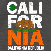 California Republic St. Patrick's Day Irish Vector Backpack