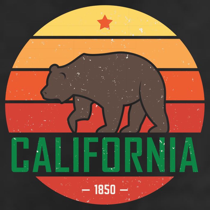 California Retro Circle 25L Jumbo Tote