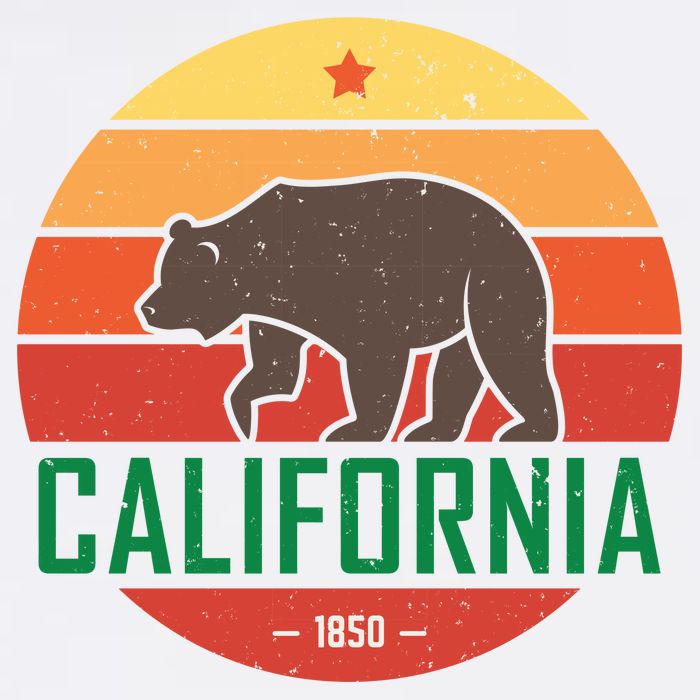 California Retro Circle Button