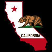 California State Bear Flag Pom Pom 12in Knit Beanie