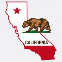 California State Bear Flag Cooling Performance Long Sleeve Crew