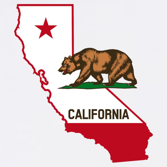 California State Bear Flag Cooling Performance Long Sleeve Crew