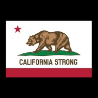 California Strong Flag Impact Tech Backpack