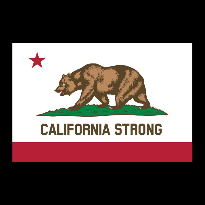 California Strong Flag Impact Tech Backpack