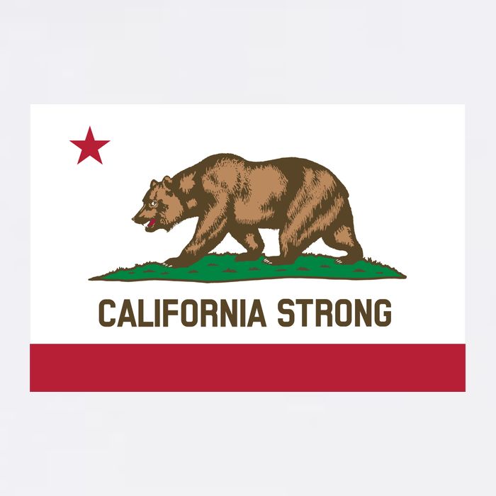 California Strong Flag Baby Bodysuit