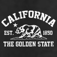 California The Golden State Est 1850 Adult Drive Performance Visor