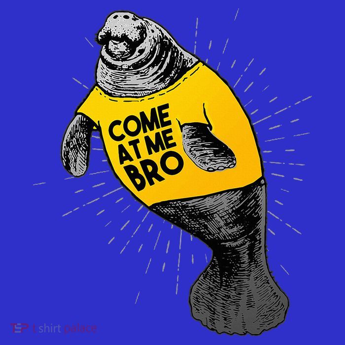 Come At Me Bro Manatee With Yellow Top Tall T-Shirt