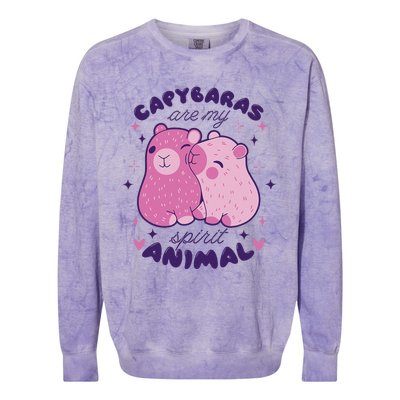 Capybaras Are My Spirit Animal Rodent Lover Colorblast Crewneck Sweatshirt