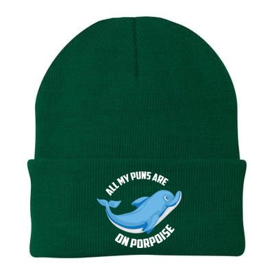 Cool All My Puns Are On Porpoise Funny Dolphin Diver Gift Knit Cap Winter Beanie