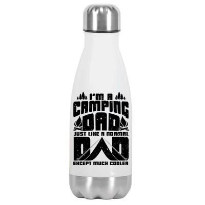 Camping Dad Stainless Steel Insulated Water Bottle