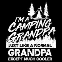 Camping Grandpa Wool Snapback Cap