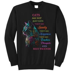 Cats Are Not Just Cats They Are Sanity They Are Happiness Sweatshirt