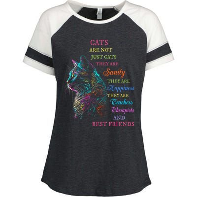 Cats Are Not Just Cats They Are Sanity They Are Happiness Enza Ladies Jersey Colorblock Tee