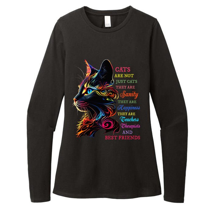 Cats Are Not Just Cats They Are Sanity They Are Happiness Womens CVC Long Sleeve Shirt