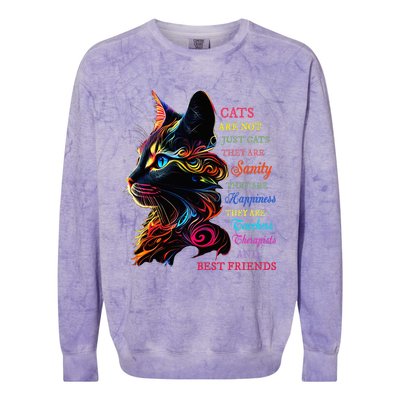 Cats Are Not Just Cats They Are Sanity They Are Happiness Colorblast Crewneck Sweatshirt