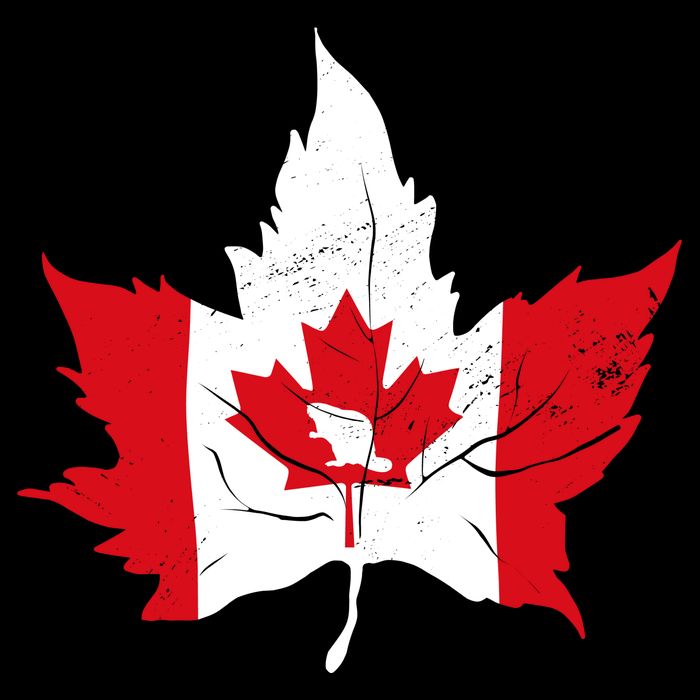 Canada Maple Leaf Flaf Sustainable Beanie