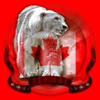 Canadian Polar Bear Wildlife Womens Tank Top