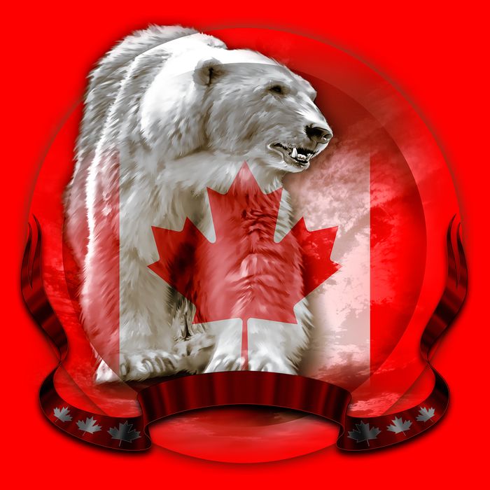 Canadian Polar Bear Wildlife Womens Tank Top