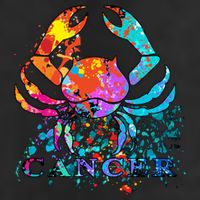 Cancer Zodiac Sign Crab Colorful Beanie