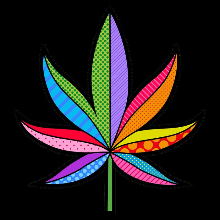Cannabis Leaf Colorful Patterns Weed Premium T-Shirt