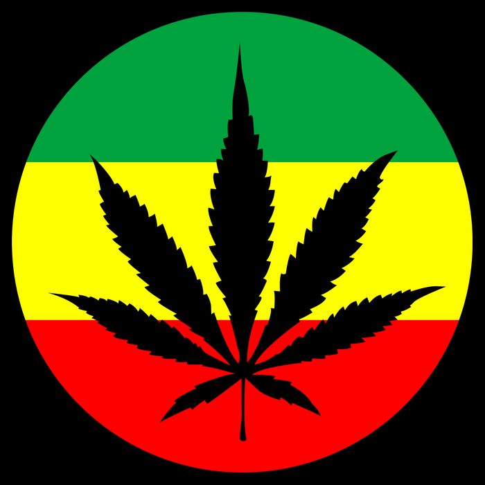 Cannabis Leaf Jamaican Style Flatbill Hat