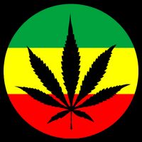 Cannabis Leaf Jamaican Style 16 in Basic Backpack